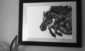 Dailininkė Dailininkė