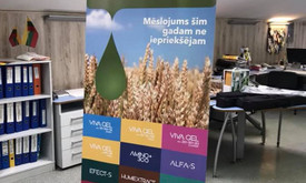 Živilė Gubevičiūtė Živilė Gubevičiūtė