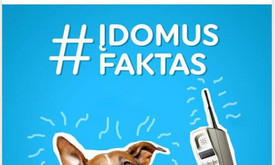 Socialinių tinklų marketingas ir turinio kūrimas Socialinių tinklų marketingas ir turinio kūrimas