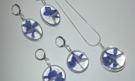 Daiza Design