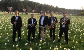 Muzikantas, dainininkas, grupė Muzikantas, dainininkas, grupė