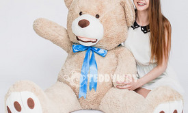 TeddyWay Meškiukai
