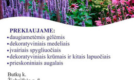 Jolanta Paliliūnienė