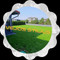 Logo Logo