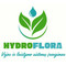 Logo Logo