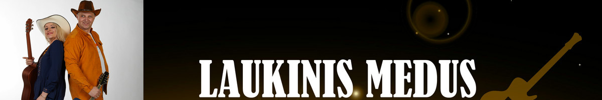 Gyvo garso grupė Laukinis Medus