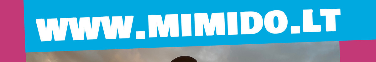 Animatoriai. Personažai. Šventės vaikams (lt/en/ru/pl)