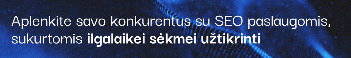 Seo Lietuvos, užsienio projektams. Nemokama konsultacija