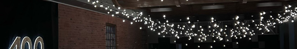 Kj Led girliandų nuoma jūsų šventėms Klaipėda