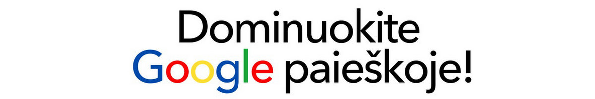 Seo ir Google Ads paslaugos Lietuvoje bei užsienyje