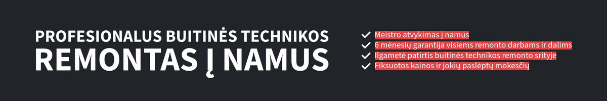 Profesionalus Buitinės Technikos Remontas į Namus