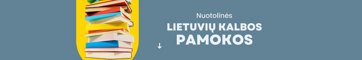 Individualios ir grupinės lietuvių kalbos pamokos