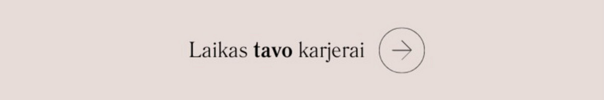 Linkedin, Cv kūrimas, Darbo pokalbio simuliacija