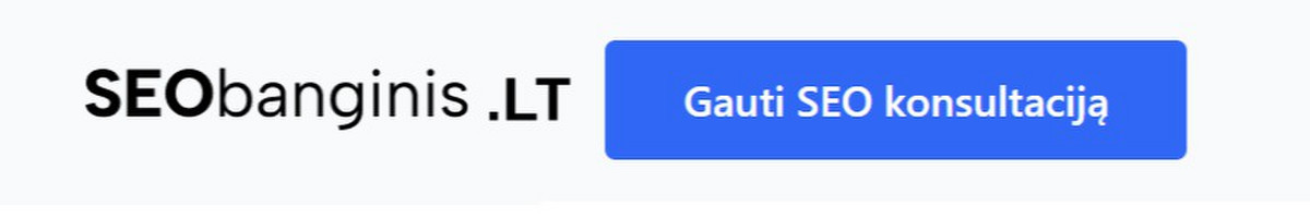 Google Ads ir Seo paslaugos Lietuvos ir užsienio rinkoms