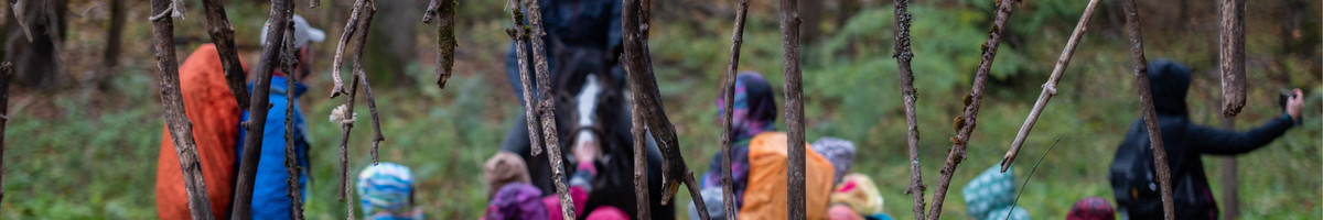 Žygiai vaikams, paaugliams, šeimoms su žaidimais miškuose
