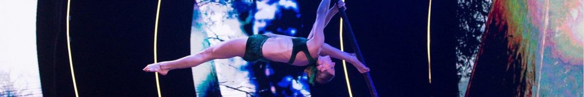 Vipera – Pole Dance. Pasirodymai ant lanko ir stulpo