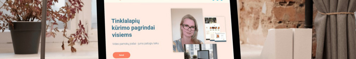 Individualios kompiuterio raštingumo, programavimo pamokos