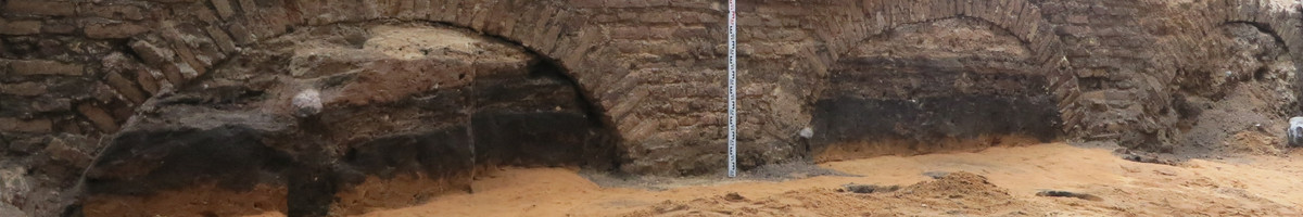 Archeologiniai tyrimai, konsultacijos