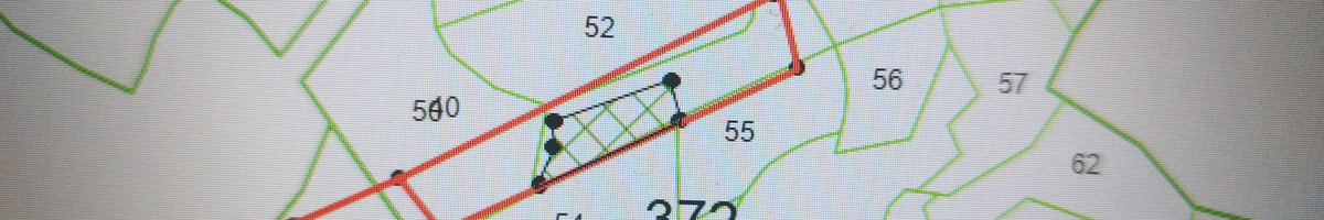 Miškų administravimas. Miškotvarkos projektai,biržių rėžimas