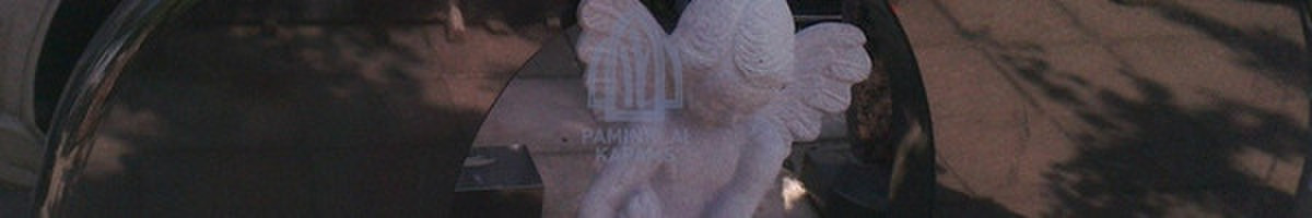 Paminklai kapams, kapų tvarkymas, granito plokštės