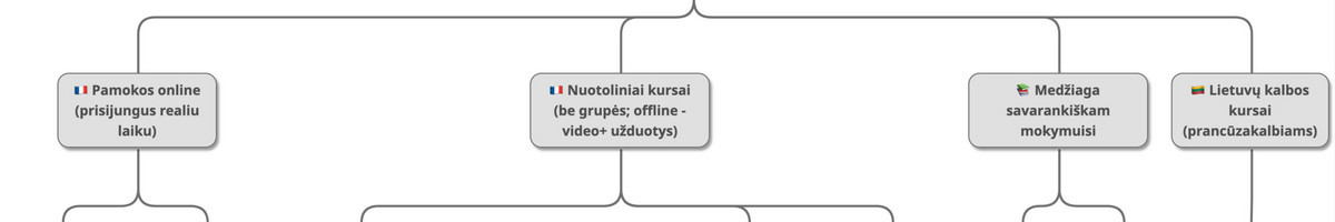 Prancūzų kalbos korepetitorė - pamokos internetu