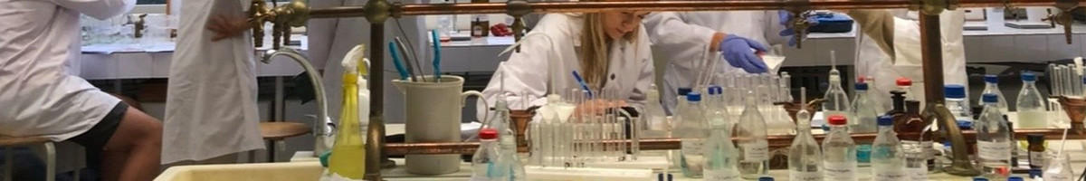 Individualios chemijos pamokos