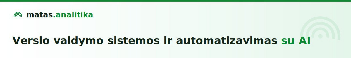Verslo įrankiai ir automatizavimas: Vvs, ataskaitos, Excel