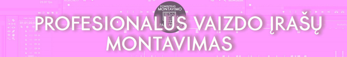 PROFESIONALUS VAIZDO ĮRAŠŲ MOTAVIMAS