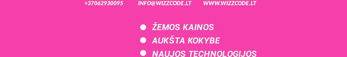 WIZZCODE žemų kainų programavimo paslaugos