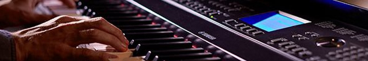Muzikantas(-ai) jubiliejams, vestuvėms, krikštynoms ir t.t.