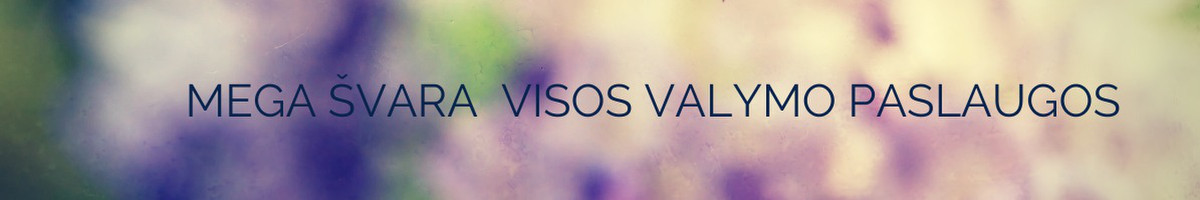 Mega švara valymo paslaugos