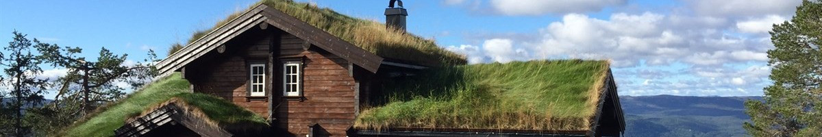 Rąstiniai namai, Mediniai namai, Restauracija