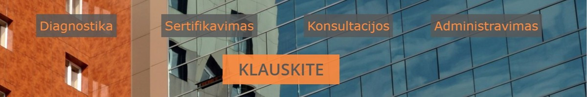 Statinių techninis tikrinimas, vertinimas, kt. pagalba