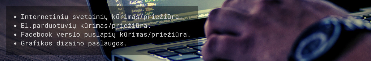 Md Internetinių Svetainių Kūrimas/priežiūra