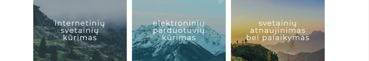 Kuriame ir palaikome Web svetaines bei el.parduotuves