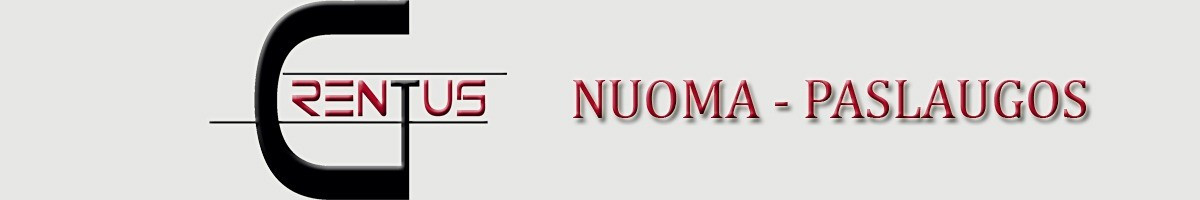 Technikos nuoma, paslaugos