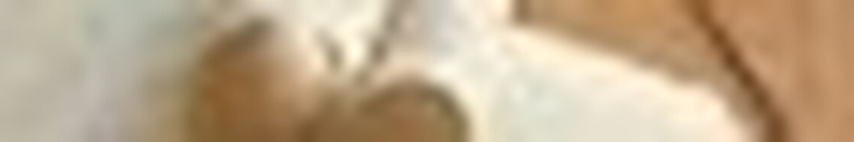 Pagalba ir konsultacijos dėl Diplominių, Kursinių, Projektų