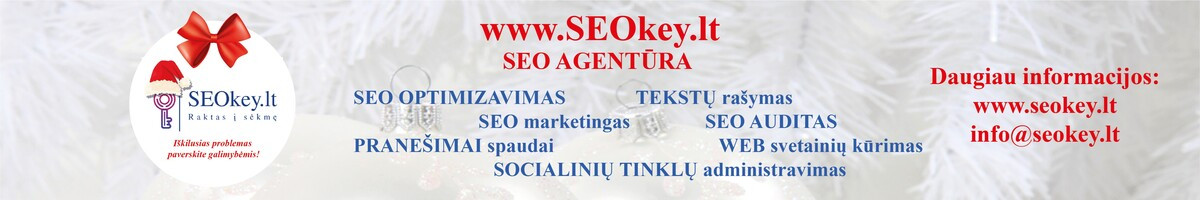 Seo paslaugos visoje Lietuvoje