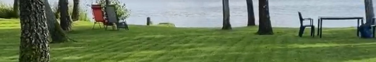 Vejos skarifikavimas, aeravimas, tręšimas, kiti kiemo darbai
