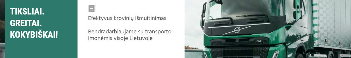 Profesionalus muitinės tarpininkas, muitinės paslaugos
