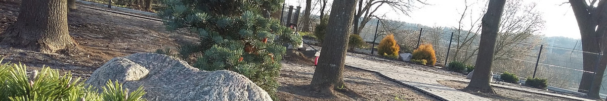 Aplinkos tvarkymas, apželdinimas, aeravimas, vejos įrengimas