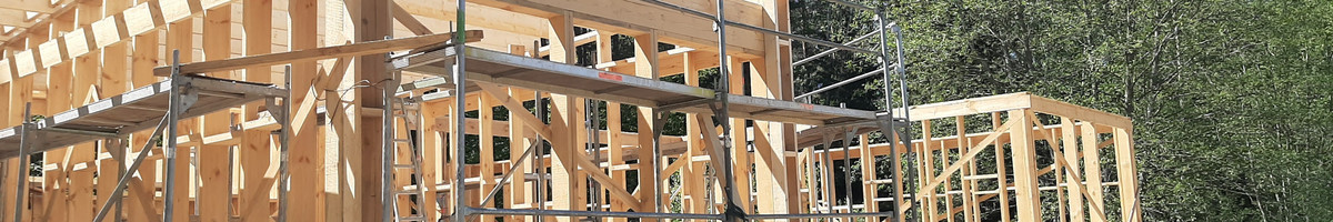 Gyvenamųjų ir negyvenamųjų pastatų statyba, vidaus apdaila.