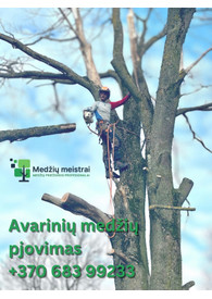 Sertifikatai, pažymėjimai ir kt.
