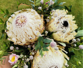 Švenčių dekoro paslaugos. Šampano staliuko paslauga. - Vestuvinė floristika - 2 Vestuvinė floristika - Švenčių dekoro paslaugos. Šampano staliuko paslauga. - 2