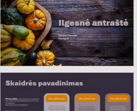 Powerpoint prezentacijos - nuo idėjos iki rezultato / Sofija / Darbų pavyzdys ID 3048730
