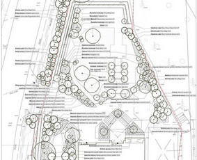 Kraštovaizdžio architektūra. Arboristinis vertinimas. - Kraštovaizdžio projektavimas - 1 Kraštovaizdžio projektavimas - Kraštovaizdžio architektūra. Arboristinis vertinimas. - 1