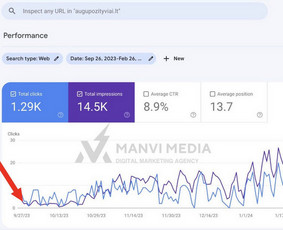 #1 Google Ads Reklama, Google Seo, Ai Seo ir Google Maps Seo / Vilius Jankeliūnas | MB Manvi Media / Darbų pavyzdys ID 3252601