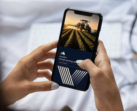 Banerių kūrimas - Brendingas, svetainių dizainas ux/ui - 1