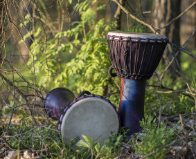 Būgnai, fortepijonas, dainavimas, fleita, smuikas, gitara / Muzikinio ugdymo studija „MUZIKALI LAPĖ“ / Darbų pavyzdys ID 3484032