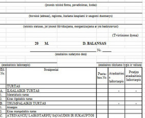 Metinės finansinės ataskaitos (balansas ir pelno (nuostolių) ataskaitos)